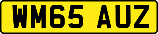 WM65AUZ