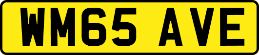 WM65AVE