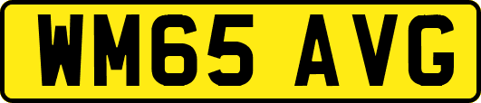 WM65AVG