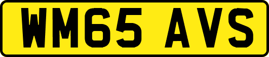 WM65AVS