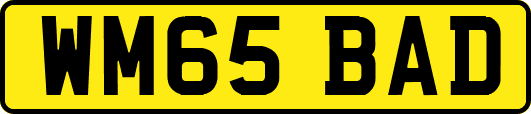 WM65BAD