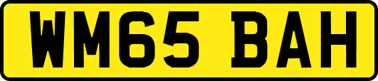 WM65BAH