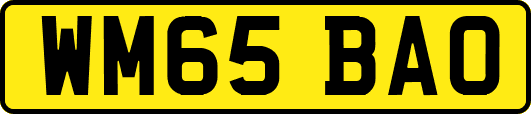 WM65BAO