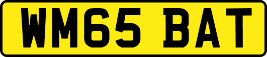 WM65BAT