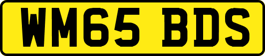 WM65BDS