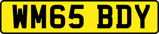 WM65BDY