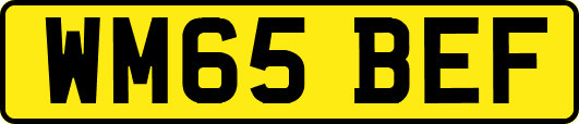 WM65BEF