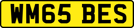 WM65BES