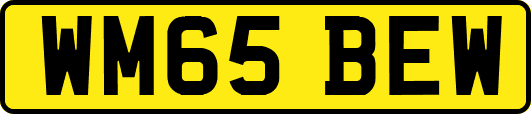 WM65BEW