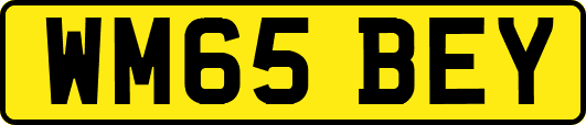 WM65BEY