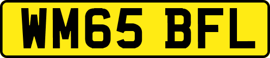 WM65BFL