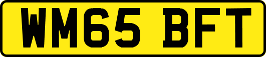 WM65BFT