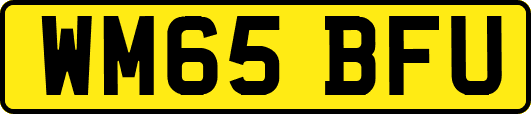 WM65BFU