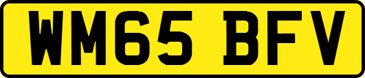 WM65BFV