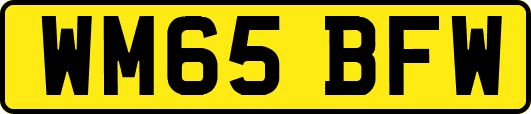 WM65BFW