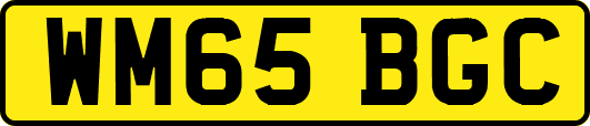 WM65BGC
