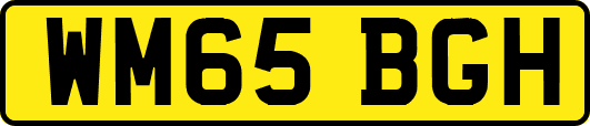 WM65BGH