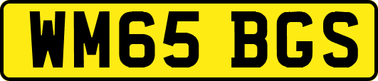 WM65BGS