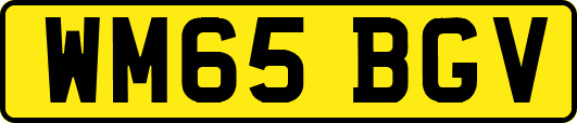 WM65BGV