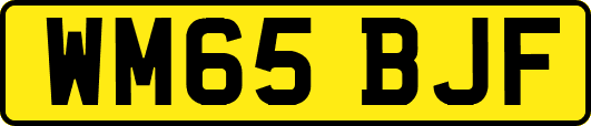 WM65BJF