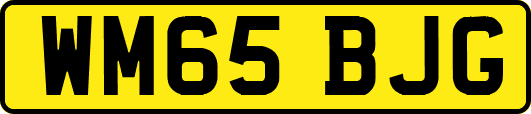 WM65BJG