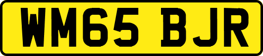 WM65BJR