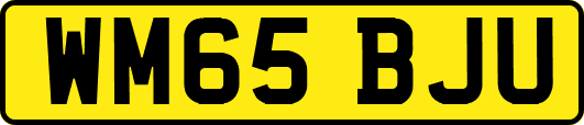 WM65BJU