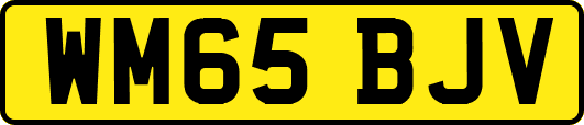 WM65BJV