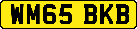 WM65BKB