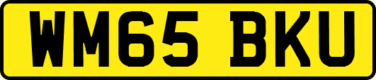 WM65BKU