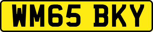 WM65BKY