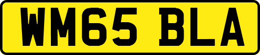 WM65BLA