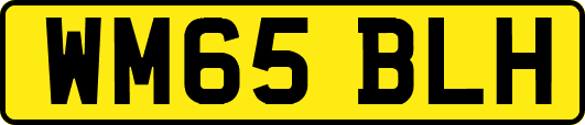 WM65BLH