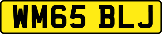WM65BLJ