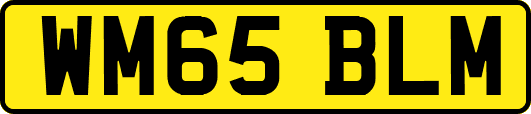 WM65BLM