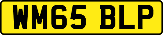 WM65BLP