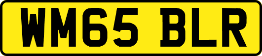 WM65BLR