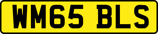 WM65BLS