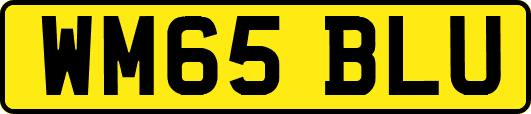 WM65BLU