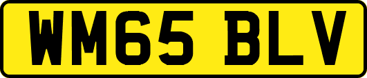 WM65BLV