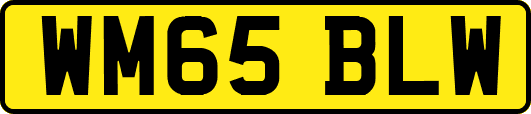 WM65BLW