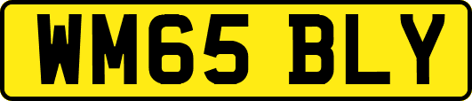 WM65BLY