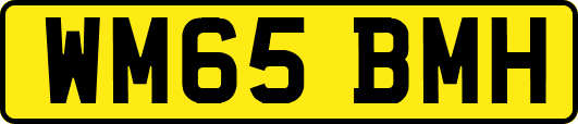 WM65BMH