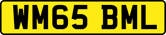 WM65BML