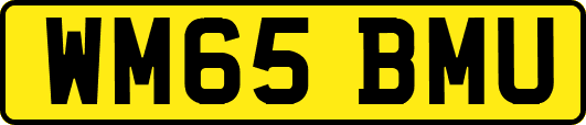 WM65BMU