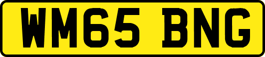 WM65BNG