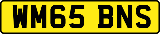 WM65BNS