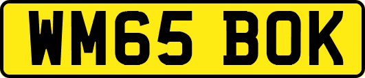 WM65BOK