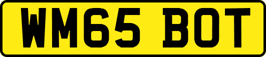 WM65BOT