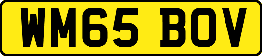 WM65BOV